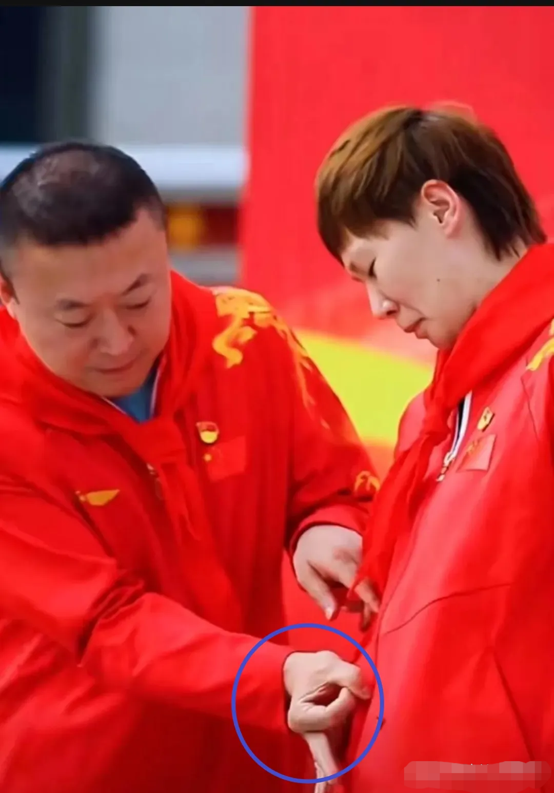 包含法国羽毛球队力克中国羽毛球队，马琳送出助攻的词条