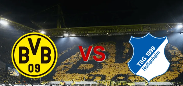 霍芬海姆客场不敌柏林赫塔,球队整体表现不佳的简单介绍 霍芬海姆客场不敌柏林赫塔,球队整体表现不佳的简单介绍