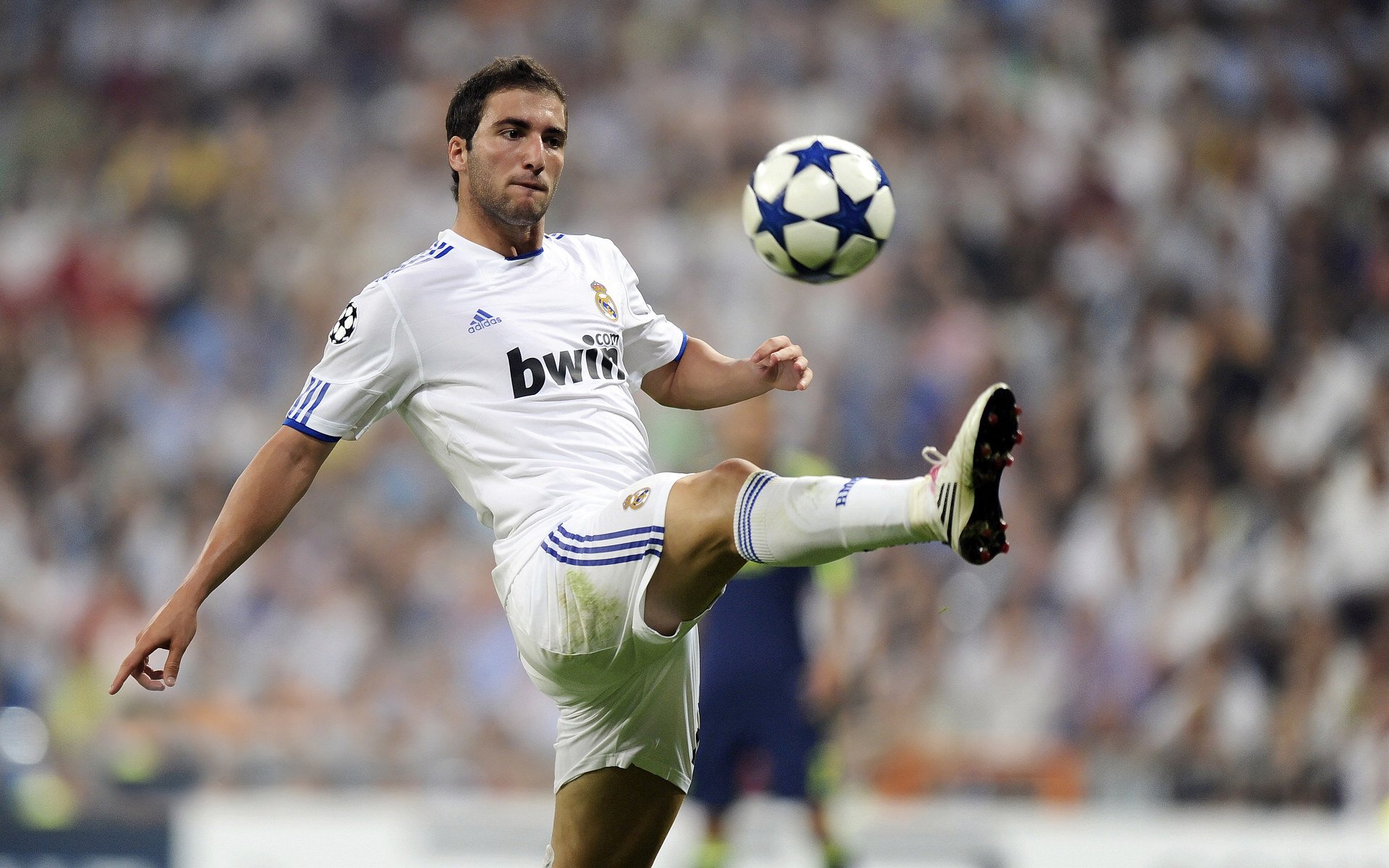 羊城雄狮力克申花，字母哥闪耀天河—解析广州队完胜上海队的战术密码与领袖价值